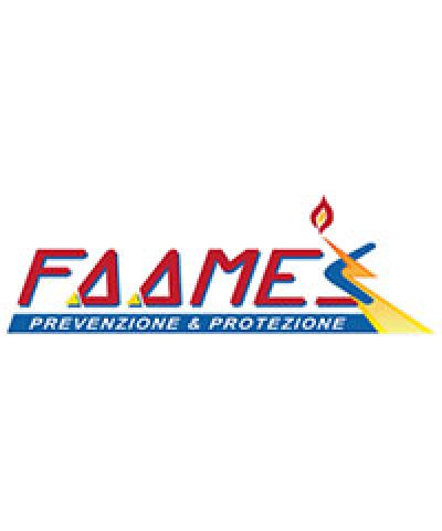 FAAMES S.n.c. di Emanuele &#038; Nicola Tafuno